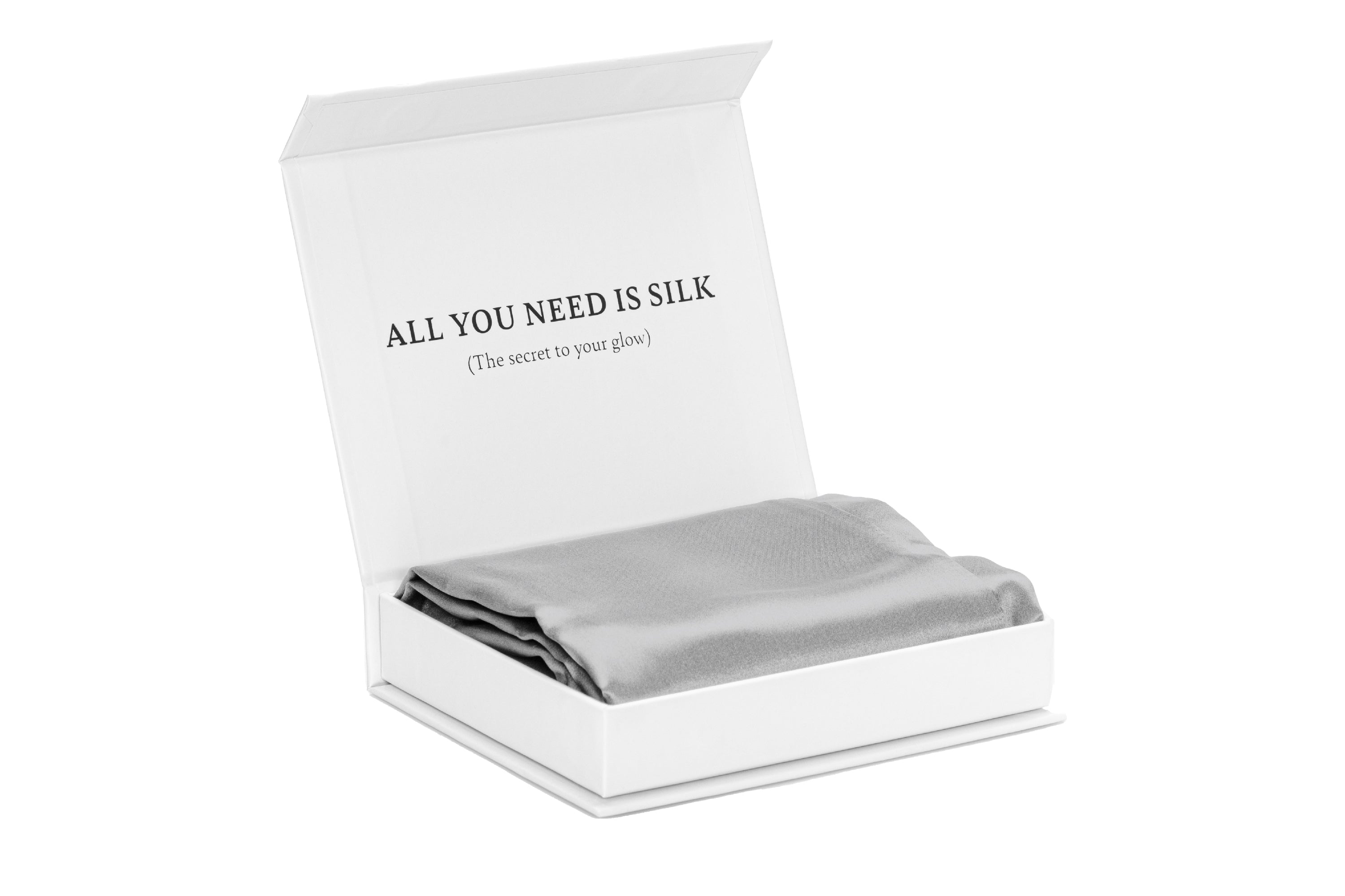 Silk Pillowcase - Silver